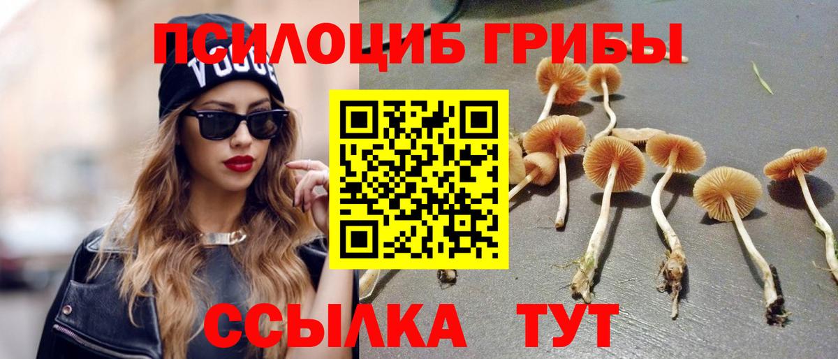 Псилоцибиновые грибы Cubensis Печора