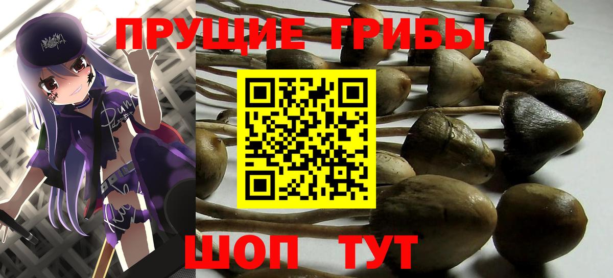 Печора  где найти   Галлюциногенные грибы прущие грибы  Вход с VPN  Псилоцибиновые грибы Cubensis 
